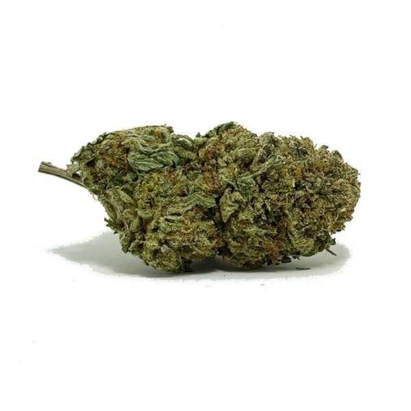 Death Bubba also known as "D Bubba," is an indica marijuana strain bred by Matteo Suleyman of Sea to Sky Cannabis in Vancouver, BC, Canada