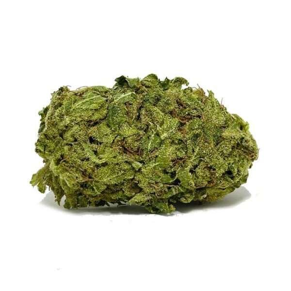 Master Kush , also known as "High Rise," "Grandmaster Kush," and "Purple SoCal Master Kush" is a popular indica marijuana strain crossed from two landrace .