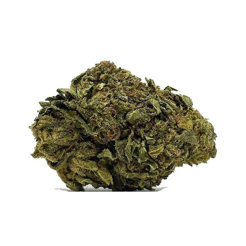 Gorilla Bomb Gorilla Bomb is a potent sativa-dominant hybrid marijuana strain made by crossing GG4 (aka Gorilla Glue) with THC Bomb. This strain produces hard-hitting.