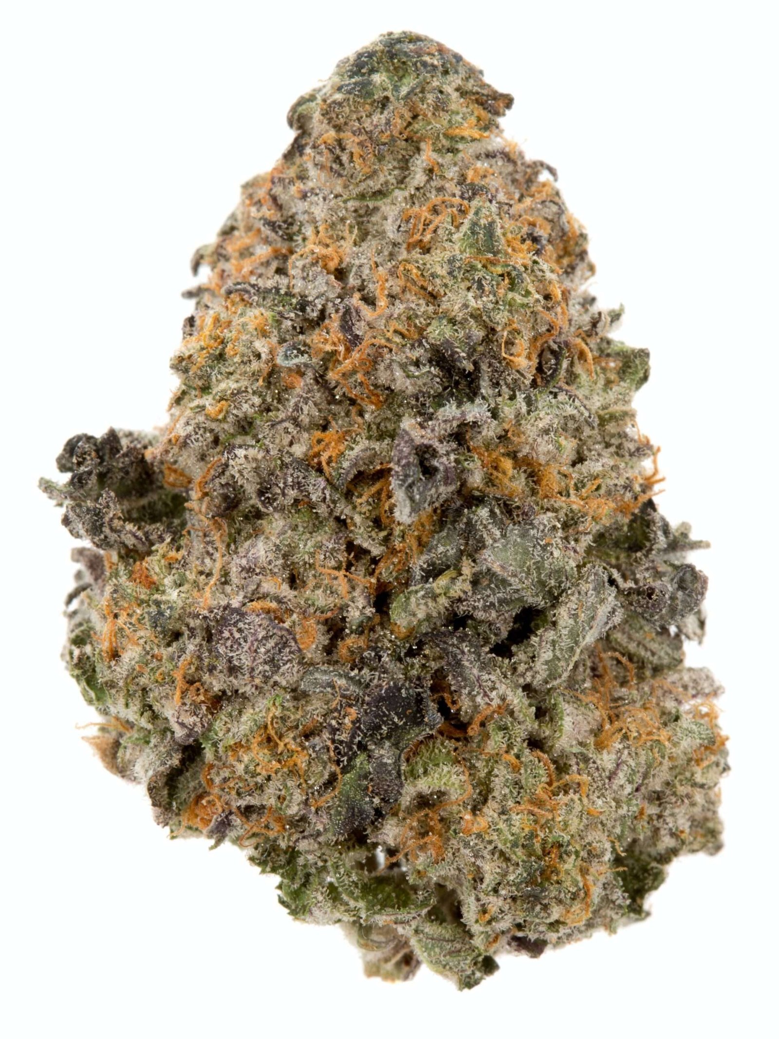 baklava Baklava is a hybrid weed strain made from a genetic cross between Kosher Kush and Gelato 41. This strain is a potent hybrid that delivers a full body ...