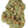 Bio Jesus is a hybrid marijuana strain known for its numbing potency and exceptional pain relief application. This strain is made by crossing Gumbo with ...