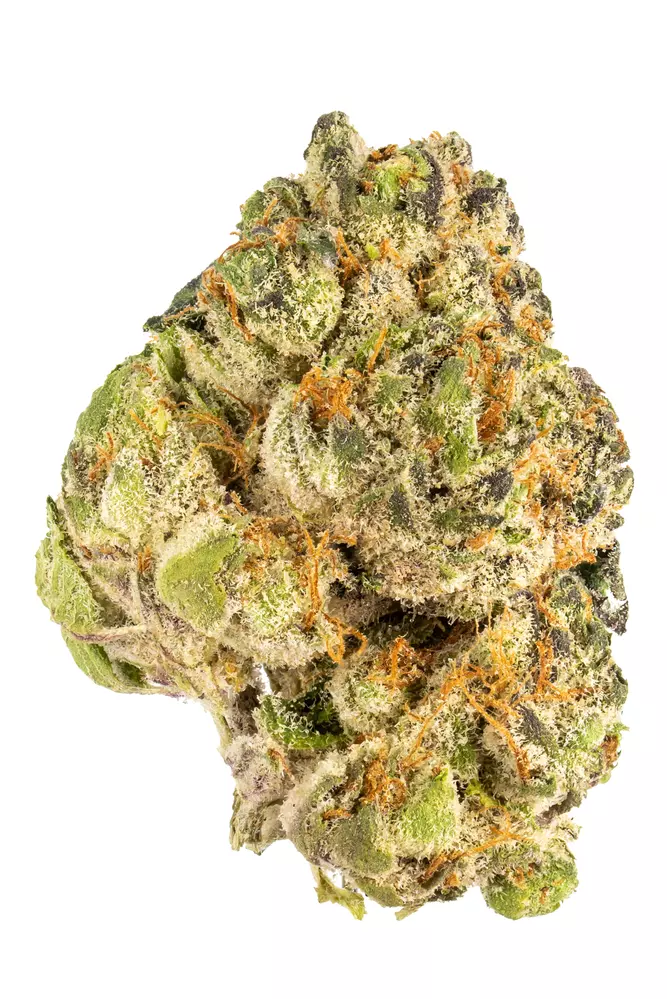 G Purps is another name for the indica marijuana strain Granddaddy Purple. Despite having different names, G Purps provides the same effects, flavors, ...