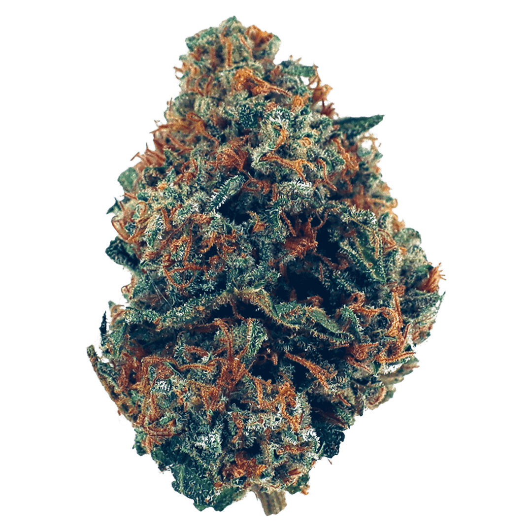 Zkittlez The Original Z (popularly known as "Zkittlez", aka "Skittles," "Skittlz," and "Island Skittles") is an indica hybrid marijuana strain bred from an alleged .