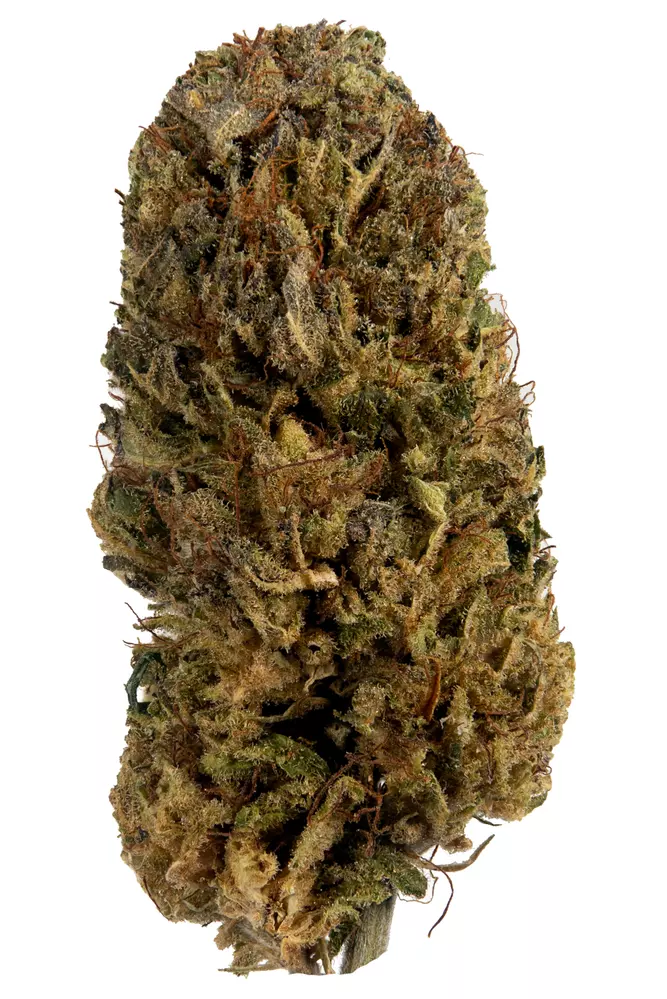 Skywalker-Og Skywalker OG is an Indica-dominant hybrid cannabis strain with a potent THC content ranging from 20% to 30%. It is a cross between Mazar and Blueberry OG ..