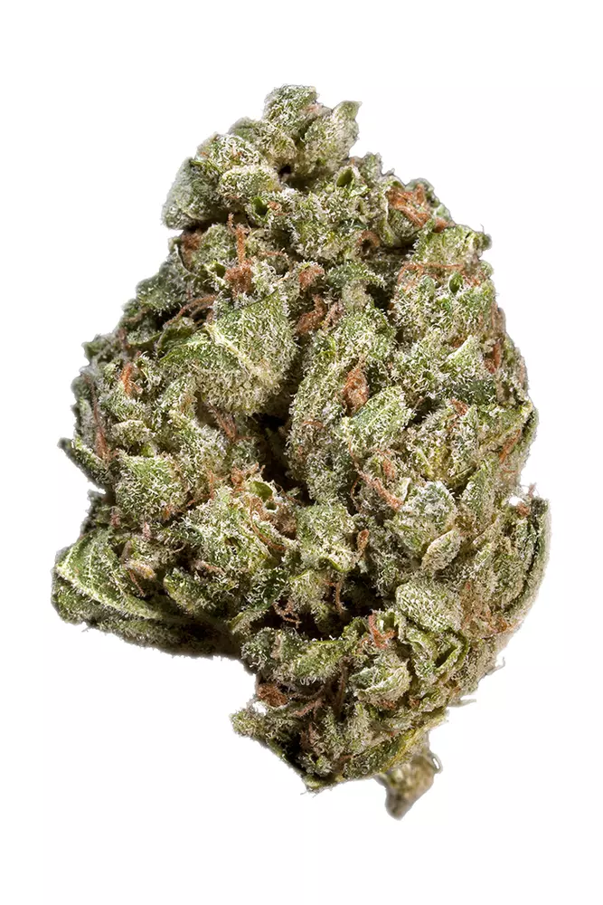 Sour-Alien Sour Alien (also called Sour Alien OG) is an indica-dominant hybrid marijuana strain made by crossing Alien Kush and Sour Diesel. Sour Alien has a strong ..