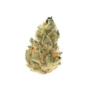 Garlic Cookies strain is a heavily indica dominant hybrid strain (90% indica/10% sativa) created through crossing the potent Chemdawg..