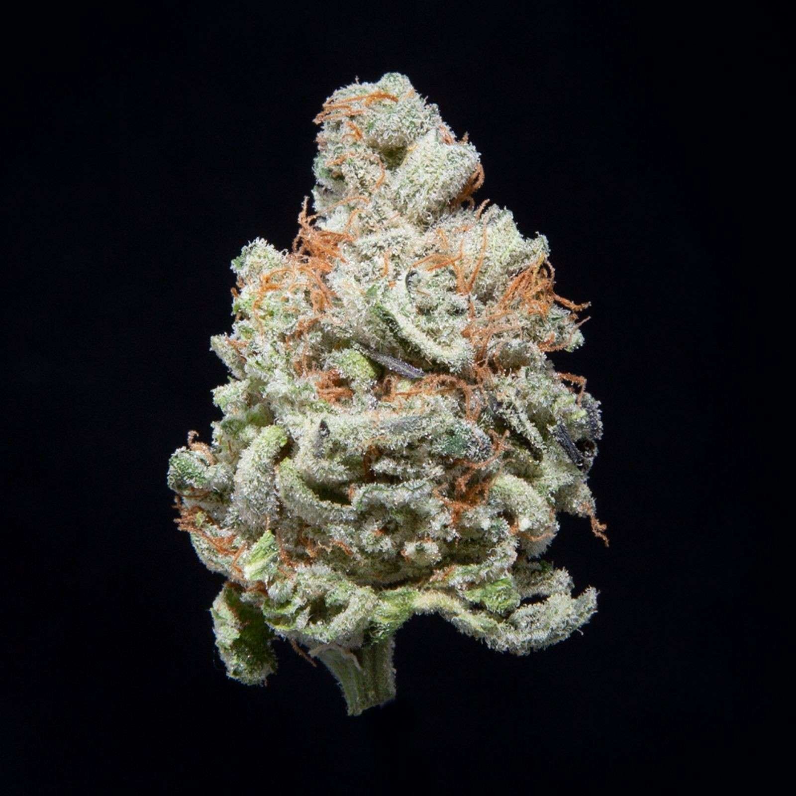 Diesel Thai 30% Indica / 70% Sativa Diesel Thai has a complex combination of smells that can be described as citrus candy, spicy pepper, and sandalwood incense.