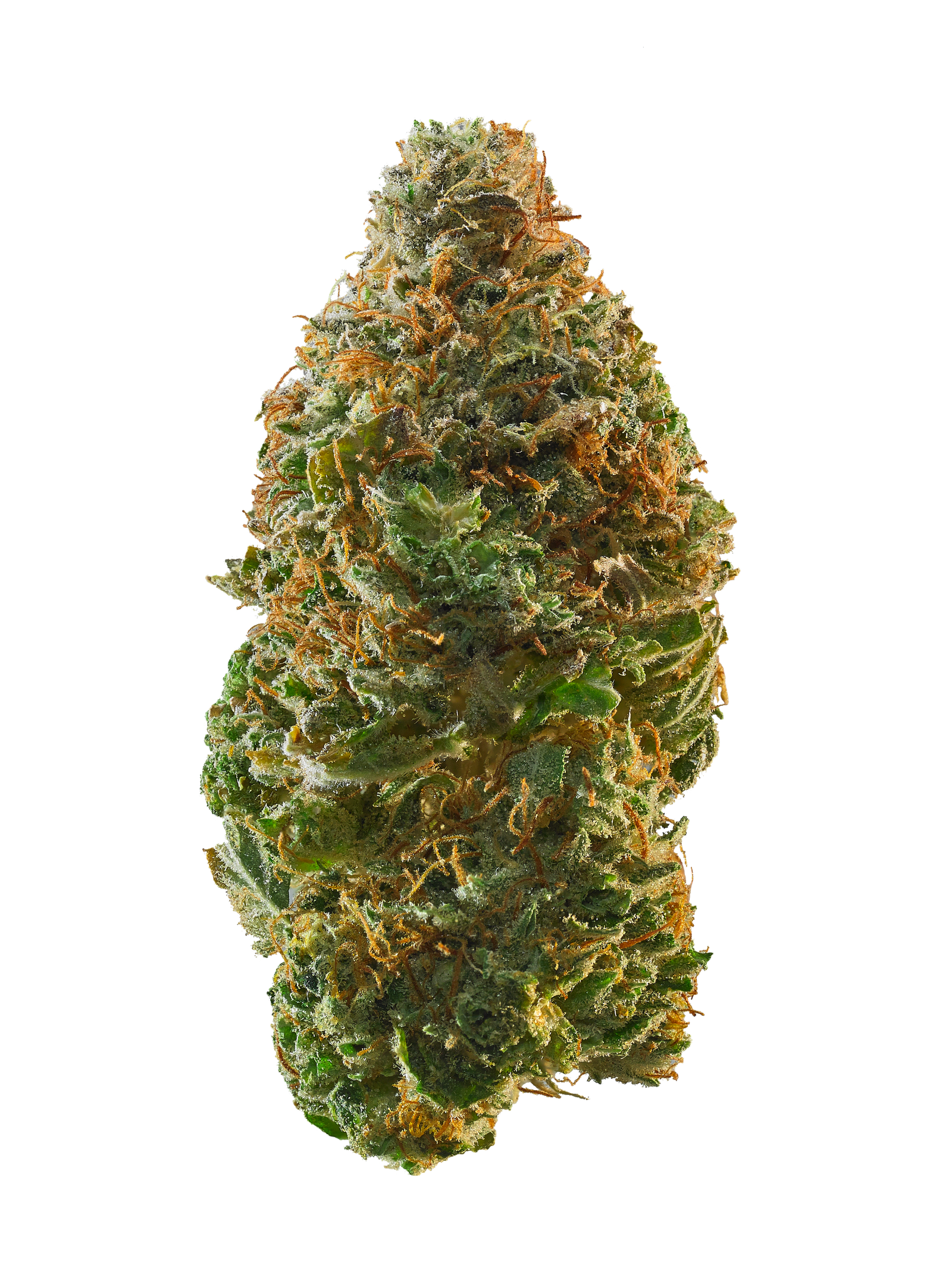 99 Problems 99 Problems is a weed strain. Reviewers on Leafly say this strain makes them feel creative, energetic, and focused. 99 Problems has 21% THC