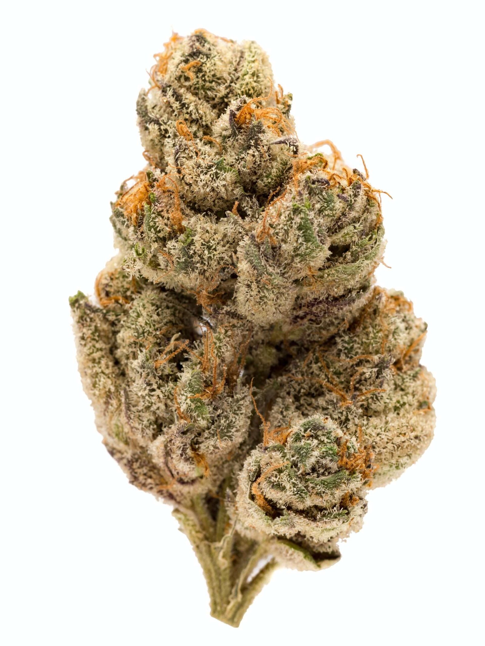 do si dos Do Si Dos is an indica dominant hybrid (70% indica/30% sativa) strain created through crossing the potent Girl Scout Cookies with Face Off OG.