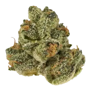 garlic mints strain is an indica dominant hybrid strain created through crossing the potent GMO X Animal Mints strains. Named for its ...