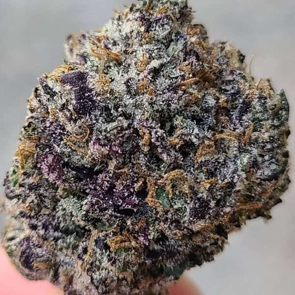 Scottie Pippen strain gives a good euphoric high. After an initial creative boost, the calming body effect takes over. It can become numbing and...