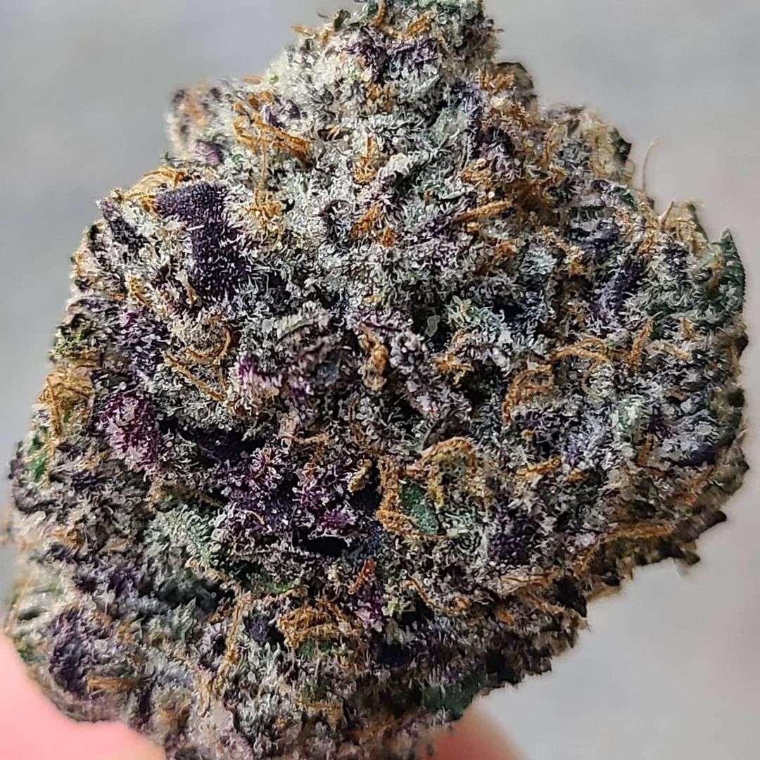 scottie pippen strain Scottie Pippen strain gives a good euphoric high. After an initial creative boost, the calming body effect takes over. It can become numbing and...