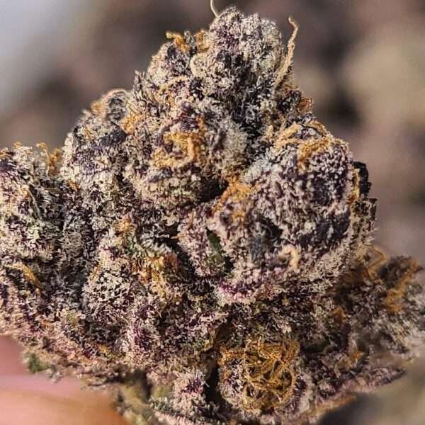Gumbo strain is an indica dominant hybrid, it was named after a bubble gum flavor, but it is not to be underestimated. The buds are covered by....
