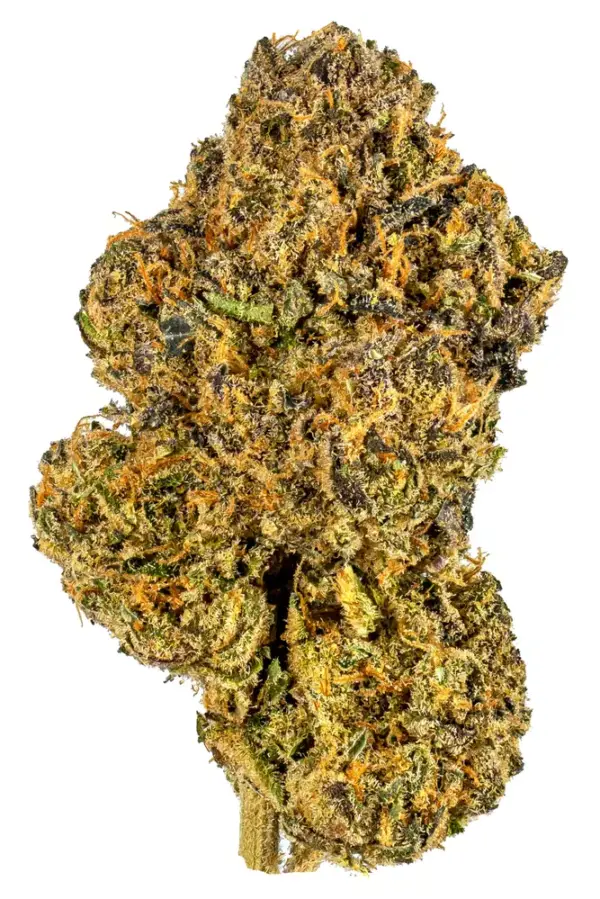 buy Rocky Road strain is a hybrid weed strain. Reviewers on Leafly say this strain makes them feel tingly, relaxed, and focused. has 19% thc