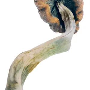 Cambodian Mushrooms – a popular and potent strain known for its uplifting effects, creativity boost, and vibrant visuals. Perfect for those seeking an energetic and spiritual journey. Buy online now with fast, discreet shipping
