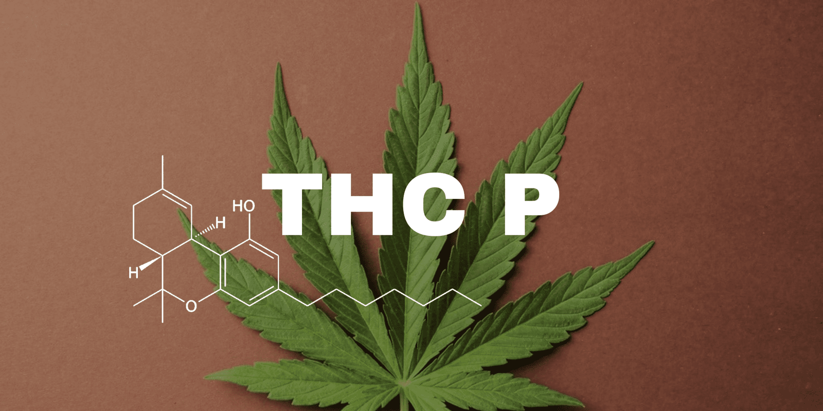 thc p​