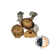 Eclipse Mushrooms – a powerful and rare strain known for its deep, introspective effects and intense visual experiences. Perfect for users seeking a transformative, mind-expanding journey. Buy online now with fast, discreet shipping