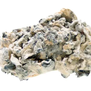 Enigma Mushrooms – a rare and potent strain known for its intense effects and profound, mind-altering experiences. Ideal for those seeking a unique and transformative journey. Buy online now with fast, discreet shipping