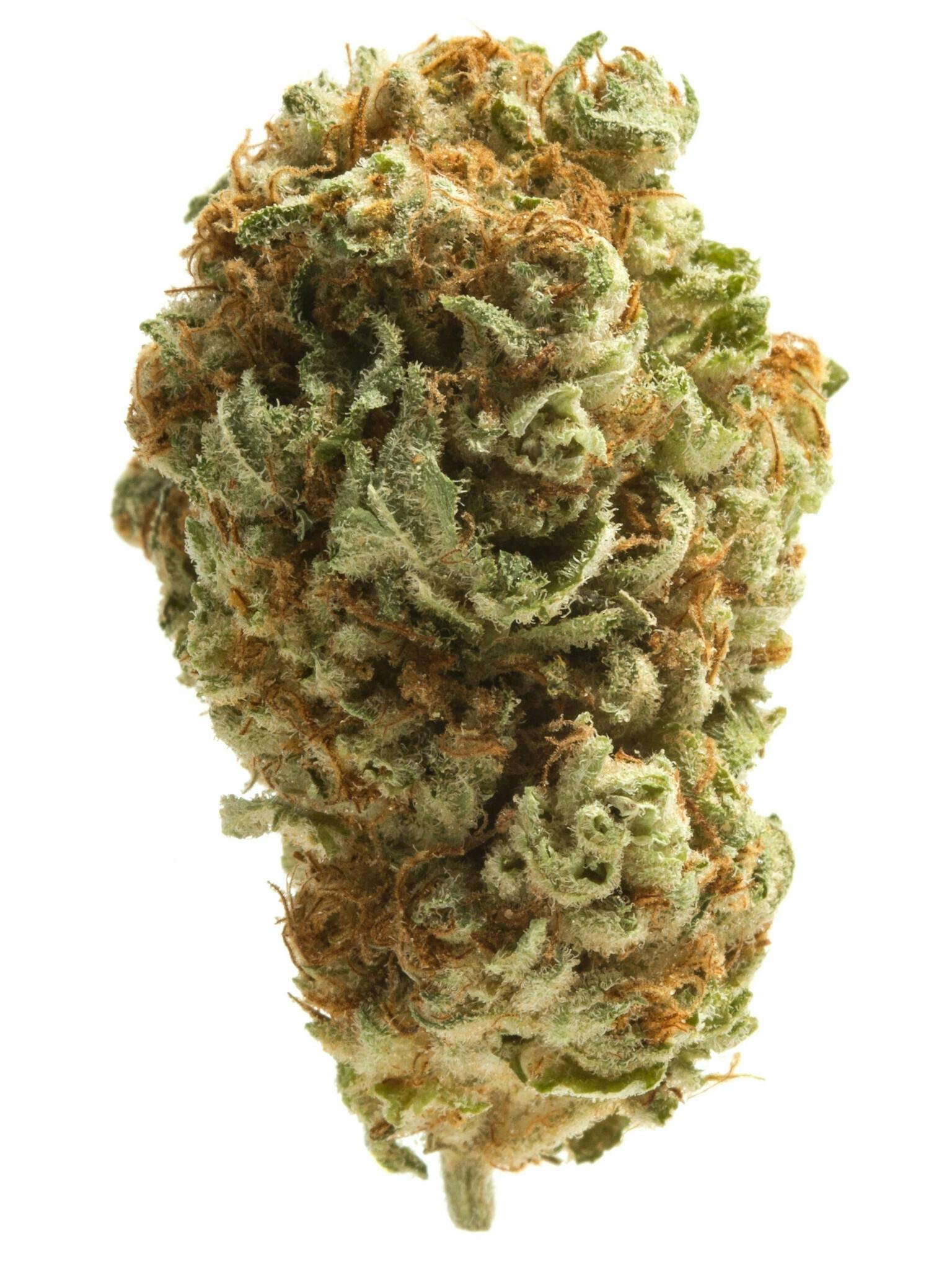 Buy Tropaya strain – an indica-dominant hybrid with citrus, caramel, and berry flavor. Euphoric, calming, and perfect for stress, pain, and mood relief.