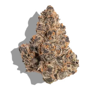 Granddaddy Pluto is a balanced hybrid with sweet blueberry flavor, relaxing body effects, and 24–29% THC for stress, pain, and insomnia relief.”
