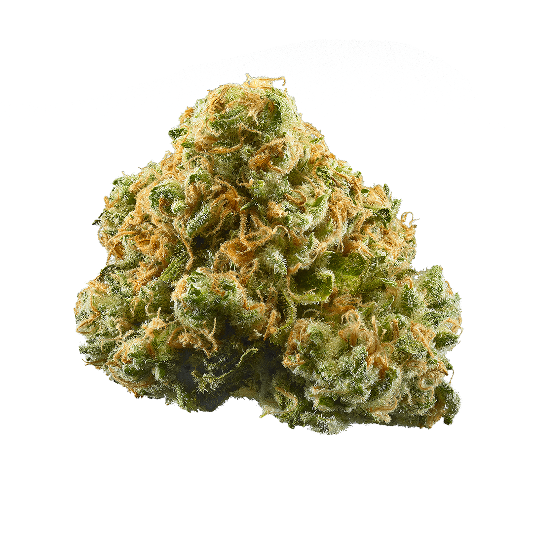 strain-23 (1) Pineapple OG is a sativa-dominant hybrid with tropical pineapple flavor and uplifting effects, perfect for creativity, energy, and stress relief.
