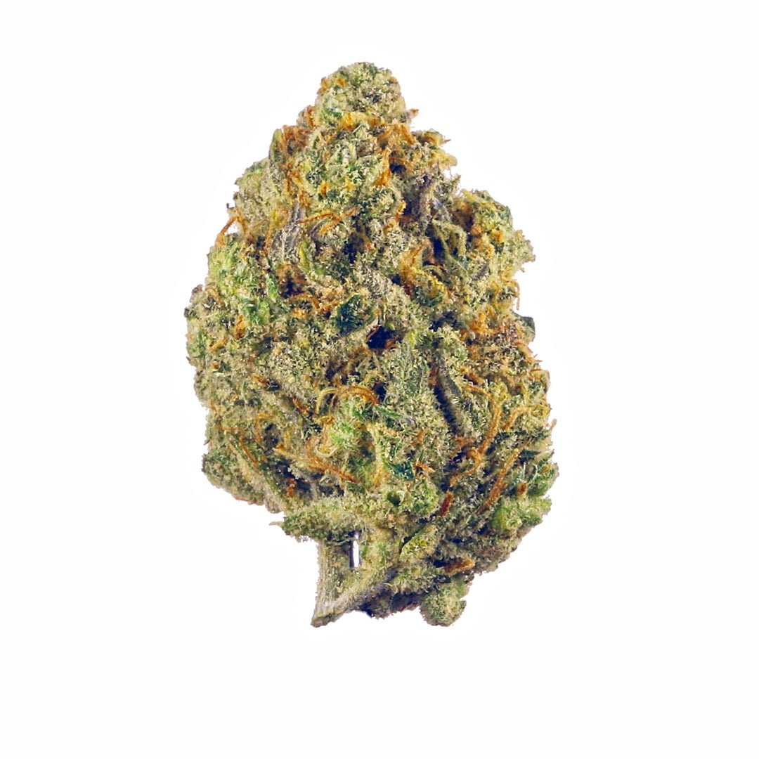 Buy Super Lemon Haze strain – an award-winning 80/20 sativa hybrid with 25% THC, zesty lemon flavor, and uplifting effects for energy, mood, and relief.